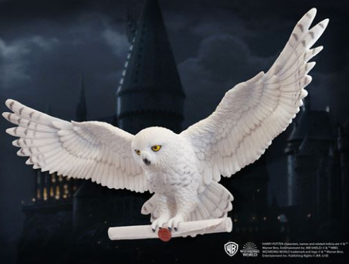 Musée de la Sorcellerie - Hedwige la chouette de Harry Potter est notre  star du jour s'il vous plait. Merci aux Studios Jacana – à Musée De La  Sorcellerie.