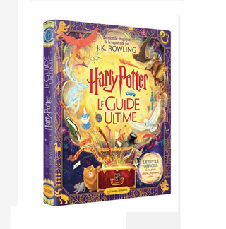 Cadeau Harry Potter : Bol à Soupe Chaudron en céramique avec