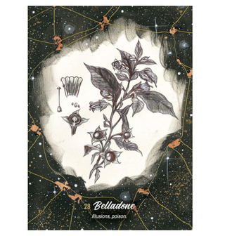 L'Oracle De La Sorcière Guérisseuse | Sorcière et Magie