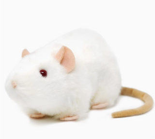 Winnie | Sorcière et Magie