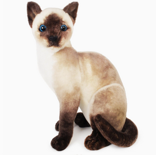 Rarity | Sorcière et Magie