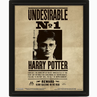 Cadre 3D - Harry/Sirius