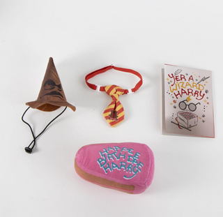 Ensemble Anniversaire Pour Chiens - Happee Birthdae Harry | Sorcière et Magie