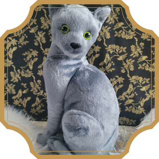 Bloom | Sorcière et Magie