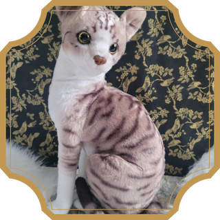 Aby | Sorcière et Magie