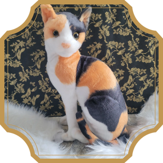 Cat-Alina | Sorcière et Magie