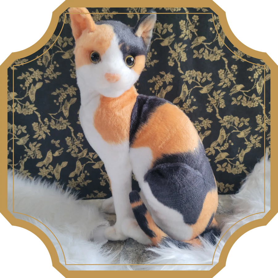 Cat-Alina | Magikanimal - Sorcière et Magie
