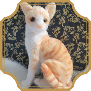 Wesley | Sorcière et Magie