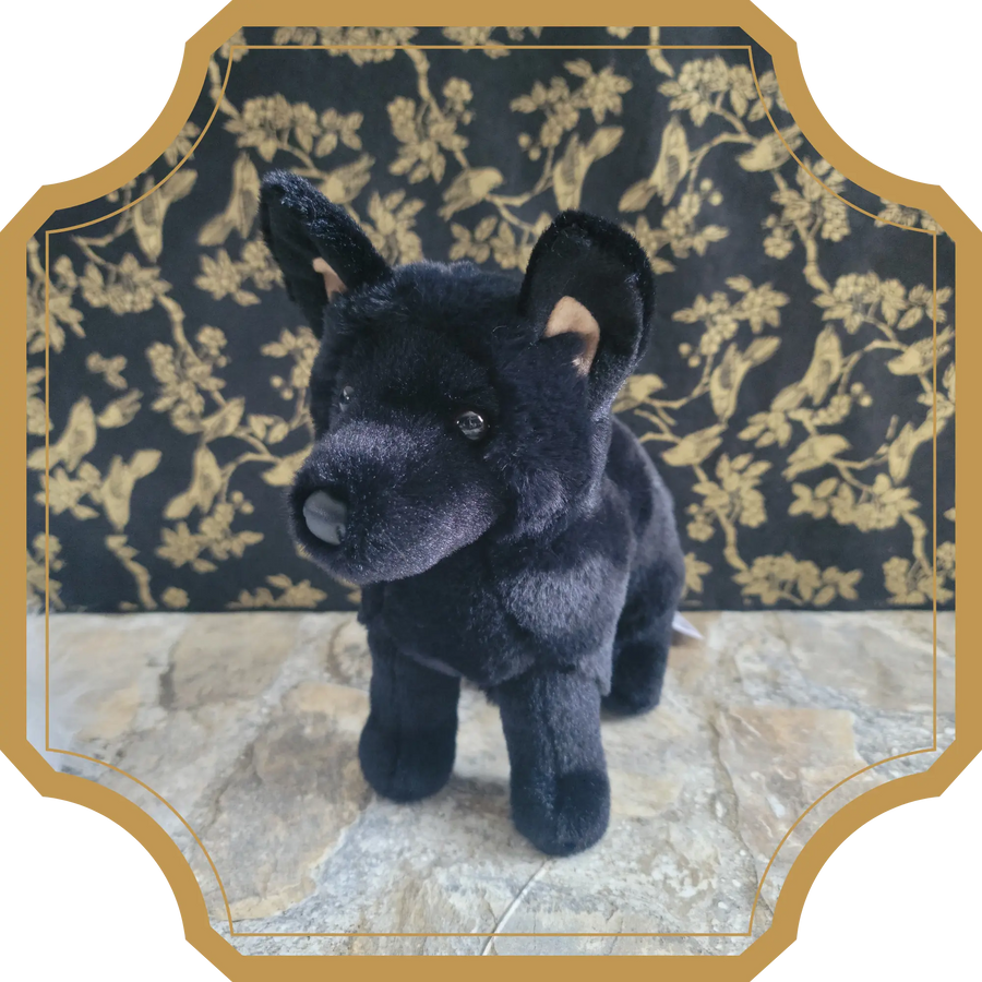 Blacky | Magikanimal - Sorcière et Magie