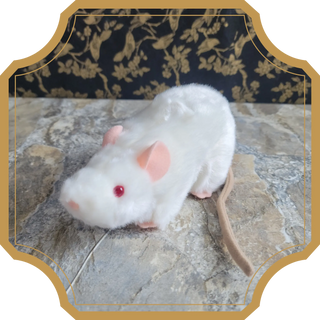 Winnie | Sorcière et Magie