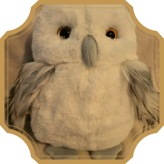 Neige | Sorcière et Magie