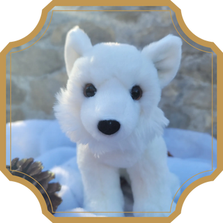 Orion | Sorcière et Magie