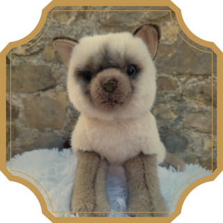 Opale | Sorcière et Magie