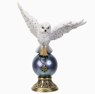 Chouette Blanche Sur Orbite | Sorcière et Magie