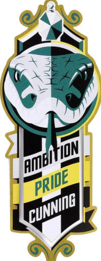 Signet Métallique Serpentard | Sorcière et Magie