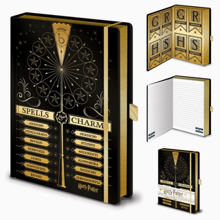 Carnet Sortilèges/Charmes | Sorcière et Magie