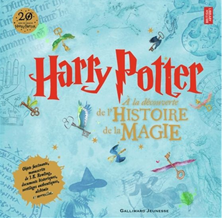 Livre - À La Découverte De L'Histoire De La Magie | Sorcière et Magie