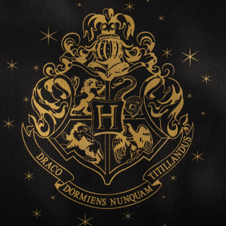 Sac Cuir Hogwarts | Sorcière et Magie