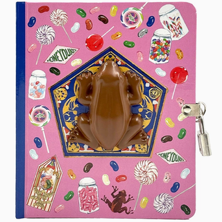 Journal À Serrure Avec Grenouille Squishy | Sorcière et Magie