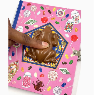 Journal À Serrure Avec Grenouille Squishy | Sorcière et Magie