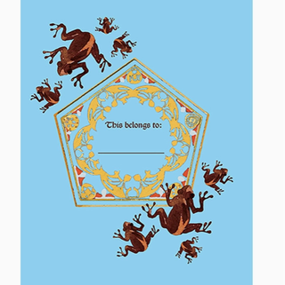 Journal À Serrure Avec Grenouille Squishy | Sorcière et Magie