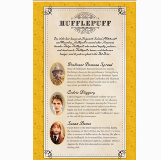 Cahier De Notes - Poufsouffle | Sorcière et Magie