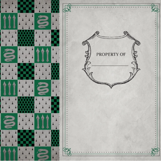 Cahier De Notes - Serpentard | Sorcière et Magie