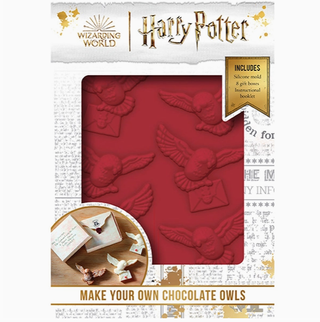 Ensemble Moule À Chocolat Hedwige | Sorcière et Magie