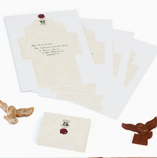 Ensemble Moule À Chocolat Hedwige | Sorcière et Magie