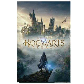 Poster Hogwarts Legacy | Sorcière et Magie