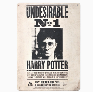 Panneau en étain - Indésirable No. 1 | Sorcière et Magie