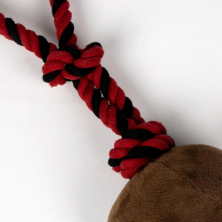 Jouet à Corde Pour Chien - Harry Potter | Sorcière et Magie