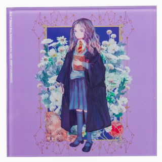 Paquet De 4 Sous-Verres - Personnages | Sorcière et Magie