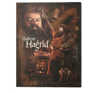 Large Hagrid Canvas