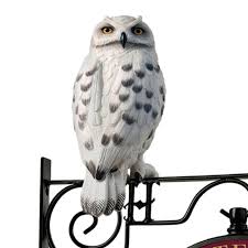 Horloge Murale Plateforme 9 3/4 Avec Hedwige - Bradford | Sorcière et Magie